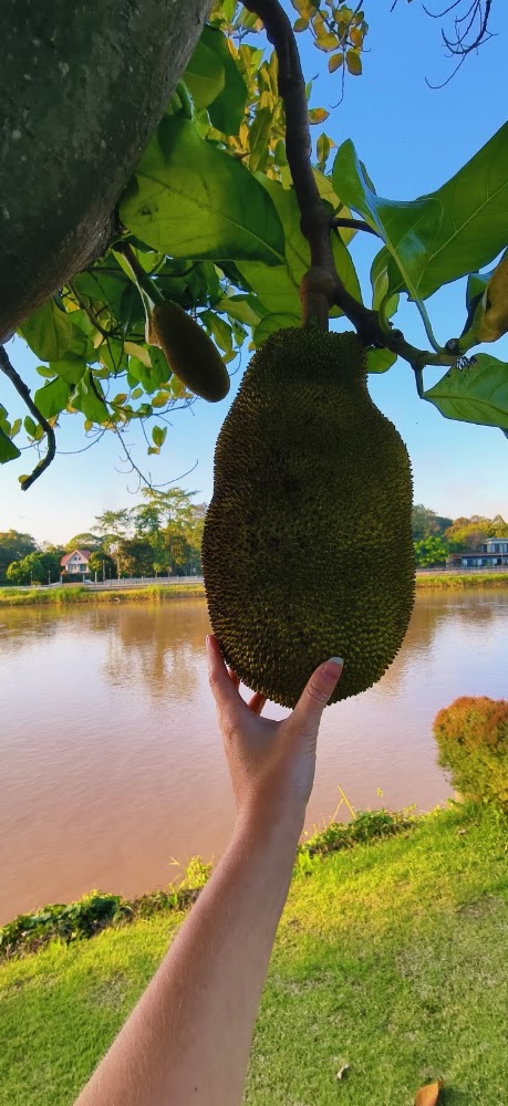 The Grandiose Hotel Chiang Rai โรงแรมเดอะแกรนด์ดิโอส 宿泊者の投稿写真 7